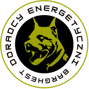 Barghest Doradcy Energetyczni